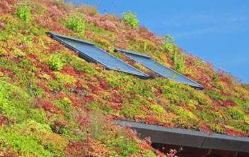 Ampleforth living roof systems
