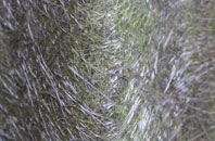 Ampleforth fibreglass roof work